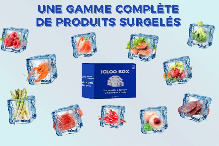 epicerie-en-ligne-banner-glacons-aliments-igloobox